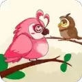 小鸟颜色分类