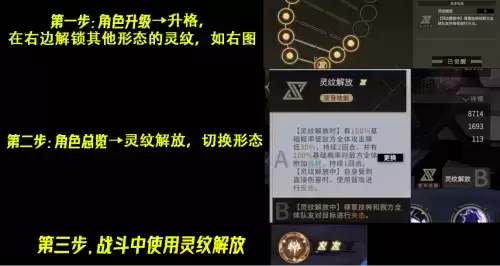 非匿名指令纹章搭配推荐4