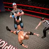 摔跤战斗进化3D(Wrestling Fight Revolution 3D)
