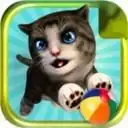 可爱猫大冒险