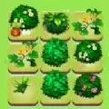 秘密花园养成记