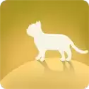 旅行猫咪世界