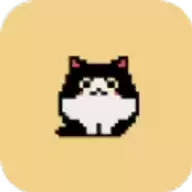 铲屎官给我吃的