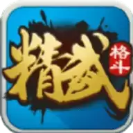 精武格斗