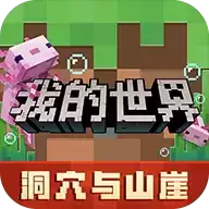 我的世界外国