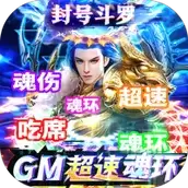 传奇演义超速魂环