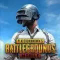 pubg吃鸡国际服
