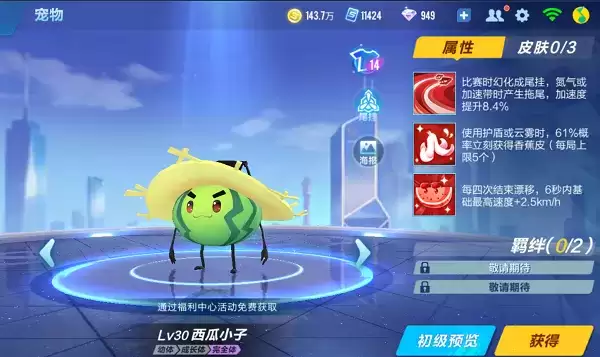 《QQ飞车手游》宠物西瓜小子介绍