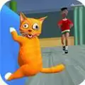 小猫破坏者
