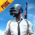 绝地求生pubg国际服免费安卓