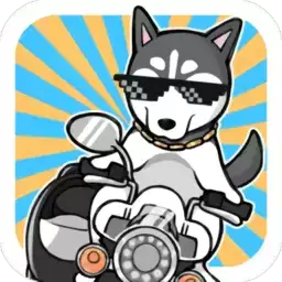 养只二哈不容易3