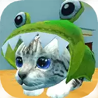 喵咪之家(猫咪之家)