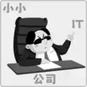 小小IT公司