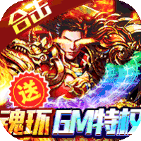 传奇无双魂环