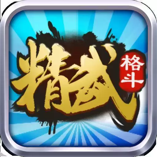 天天格斗精武之魂