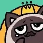 猫国王的请求