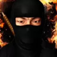 忍者的功夫贼厉害