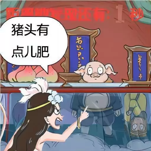 机智的小动物西游藏藏藏游戏