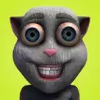 会说话的胡安破解版