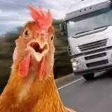 疯狂压路鸡