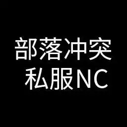 部落冲突私人服