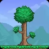 泰拉瑞亚自带全物品