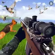 鸟类狩猎模拟器