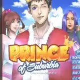 郊区王子0.8安卓