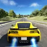 赛车手