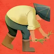 迈瑞科农庄红包