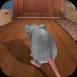疯狂老鼠王