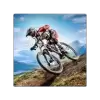 自行车特技Bicycle Stunts
