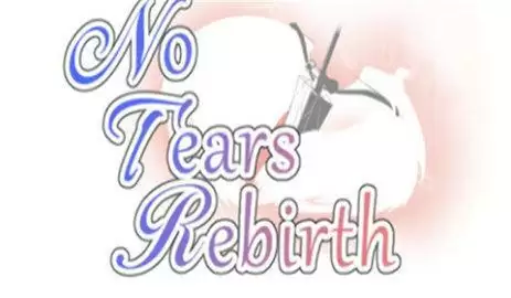 无泪重生全存档