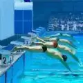 模拟游泳