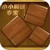 小小解谜专家