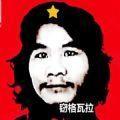 窃格瓦拉的出狱生活模拟器无敌