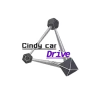 辛迪汽车驾驶正式