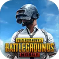 pubgmobile国际服