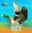 野鸭狩猎模拟器