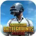 绝地求生pubg mobile(国际服)免费安装安卓 v2.4.0运营中