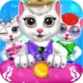 可爱小猫