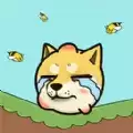 烧脑猜猜猜