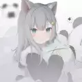 猫羽辅助器app最新版