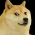 狗头模拟器免广告安装