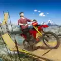 特技自行车赛车手