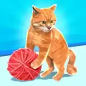 滚猫线球