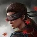 影子猎人的传说 修改版