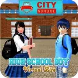 高中男生虚拟生活