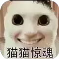 猫猫惊魂1.4