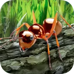 蚂蚁生存模拟器